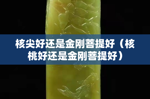 核尖好還是金剛菩提好（核桃好還是金剛菩提好）