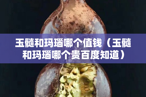 玉髓和瑪瑙哪個值錢（玉髓和瑪瑙哪個貴百度知道）