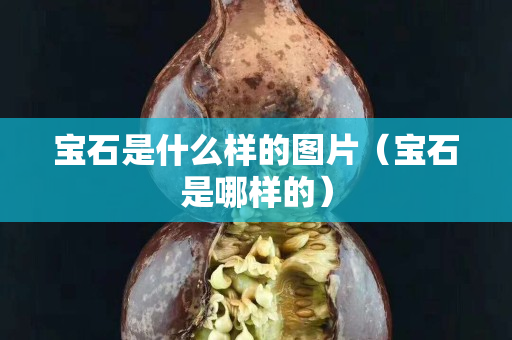 寶石是什么樣的圖片（寶石是哪樣的）