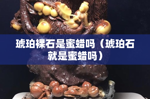 琥珀裸石是蜜蠟嗎（琥珀石就是蜜蠟嗎）