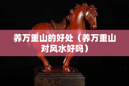養(yǎng)萬重山的好處（養(yǎng)萬重山對風水好嗎）