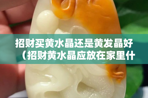 招財買黃水晶還是黃發晶好（招財黃水晶應放在家里什么位置）