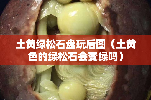 土黃綠松石盤玩后圖（土黃色的綠松石會變綠嗎）