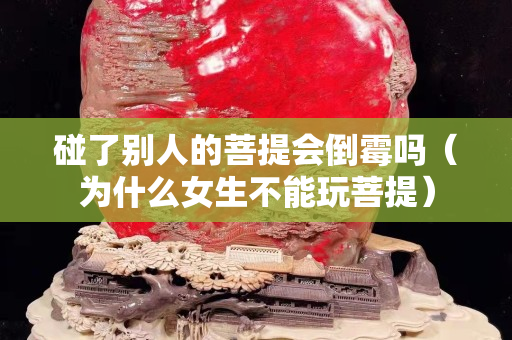 碰了別人的菩提會倒霉嗎（為什么女生不能玩菩提）