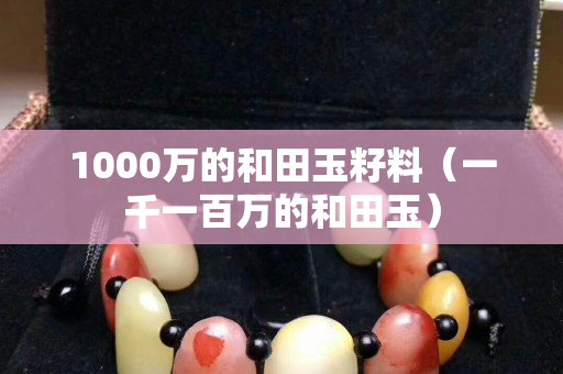 1000萬的和田玉籽料（一千一百萬的和田玉）