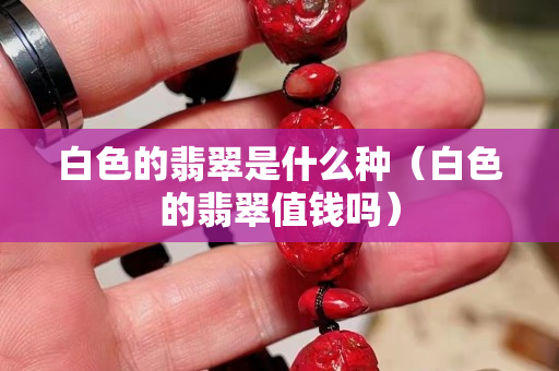 白色的翡翠是什么種（白色的翡翠值錢嗎）
