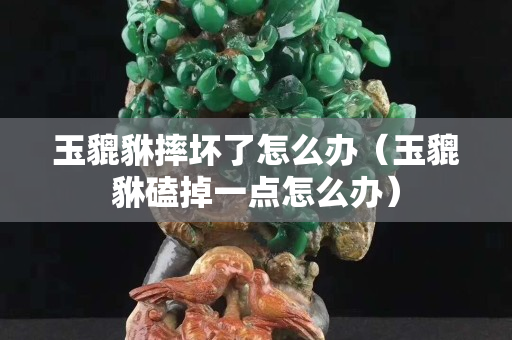 玉貔貅摔壞了怎么辦（玉貔貅磕掉一點怎么辦）