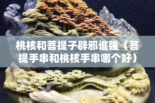 桃核和菩提子辟邪誰強（菩提手串和桃核手串哪個好）