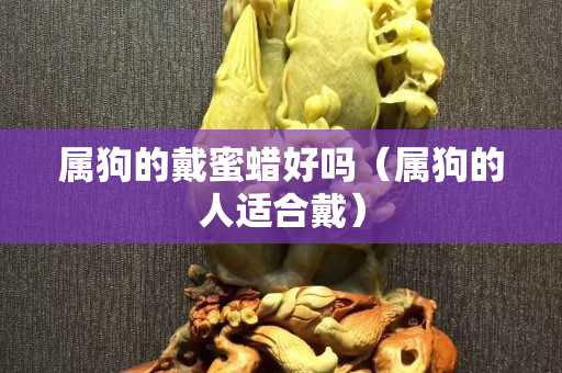 屬狗的戴蜜蠟好嗎（屬狗的人適合戴）