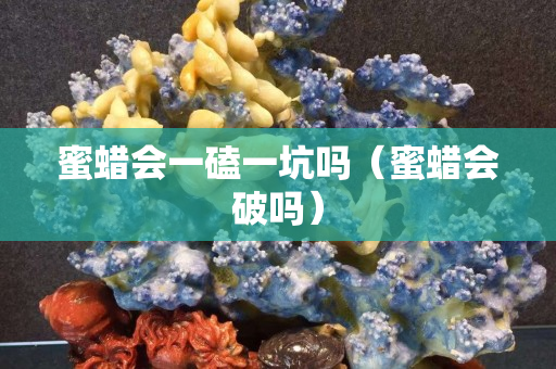 蜜蠟會一磕一坑嗎（蜜蠟會破嗎）