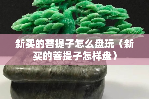 新買的菩提子怎么盤玩（新買的菩提子怎樣盤）
