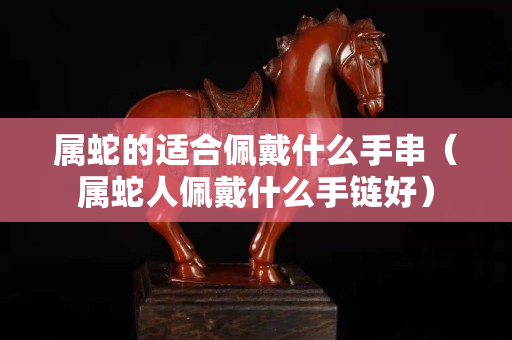 屬蛇的適合佩戴什么手串（屬蛇人佩戴什么手鏈好）