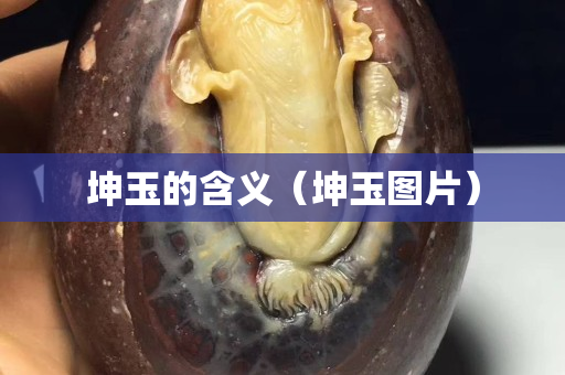 坤玉的含義（坤玉圖片）