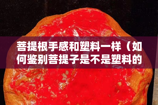 菩提根手感和塑料一樣（如何鑒別菩提子是不是塑料的）
