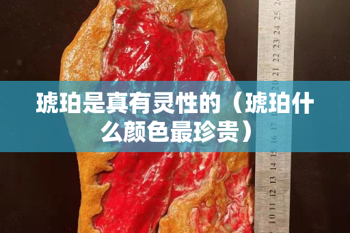 琥珀是真有靈性的（琥珀什么顏色最珍貴）