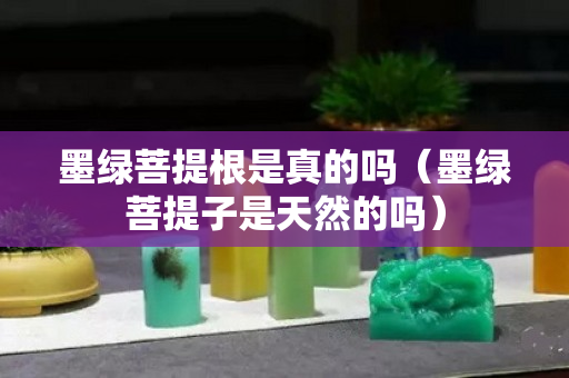 墨綠菩提根是真的嗎（墨綠菩提子是天然的嗎）