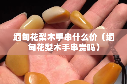 緬甸花梨木手串什么價(jià)（緬甸花梨木手串貴嗎）