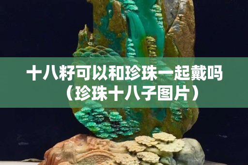 十八籽可以和珍珠一起戴嗎（珍珠十八子圖片）