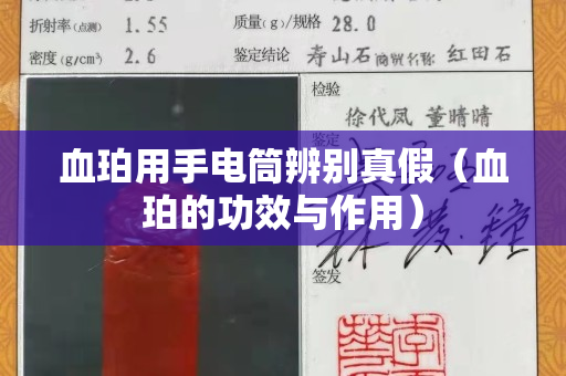 血珀用手電筒辨別真假（血珀的功效與作用）