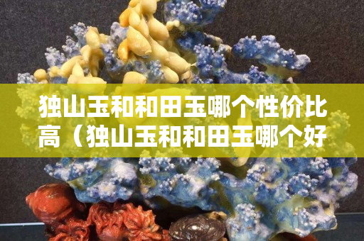 獨山玉和和田玉哪個性價比高（獨山玉和和田玉哪個好）