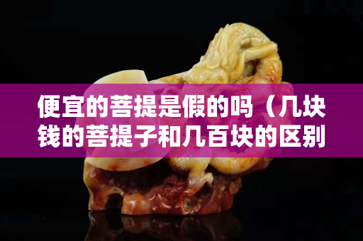 便宜的菩提是假的嗎（幾塊錢的菩提子和幾百塊的區別）