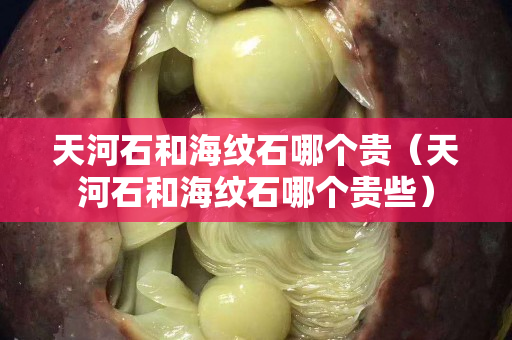 天河石和海紋石哪個貴（天河石和海紋石哪個貴些）