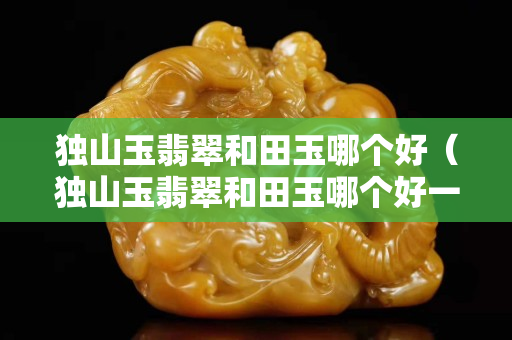 獨山玉翡翠和田玉哪個好（獨山玉翡翠和田玉哪個好一點）