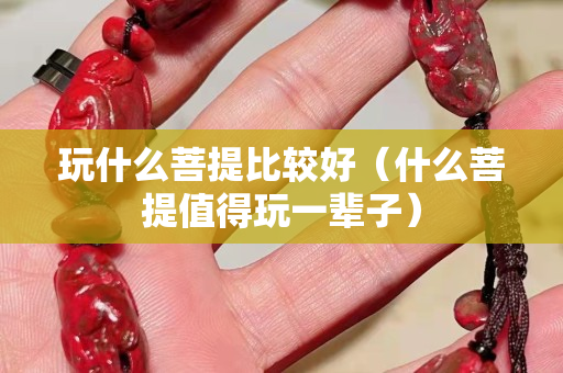 玩什么菩提比較好（什么菩提值得玩一輩子）