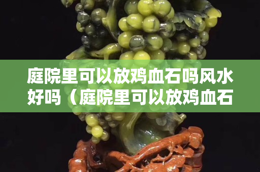 庭院里可以放雞血石嗎風水好嗎（庭院里可以放雞血石嗎風水好嗎圖片）