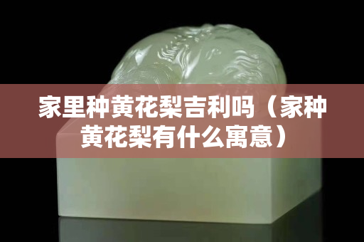 家里種黃花梨吉利嗎（家種黃花梨有什么寓意）