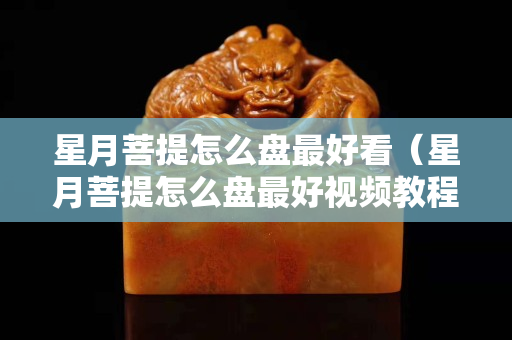 星月菩提怎么盤最好看（星月菩提怎么盤最好視頻教程）