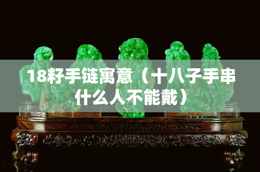 18籽手鏈寓意（十八子手串什么人不能戴）