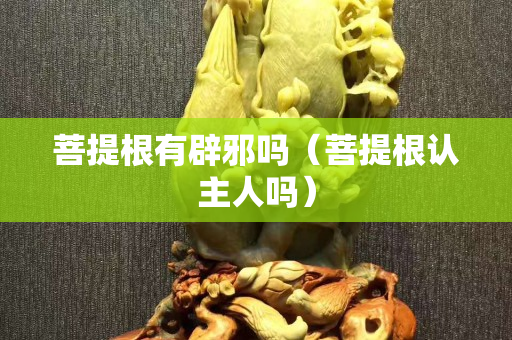菩提根有辟邪嗎（菩提根認主人嗎）
