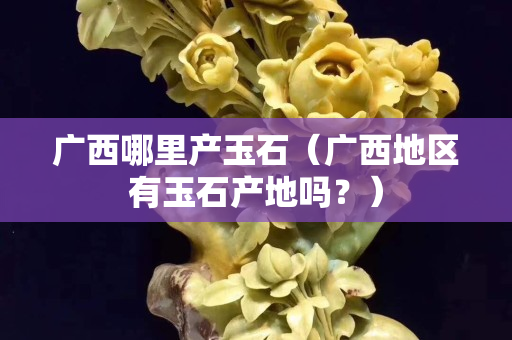 廣西哪里產玉石（廣西地區有玉石產地嗎？）