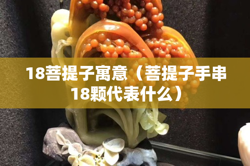 18菩提子寓意（菩提子手串18顆代表什么）