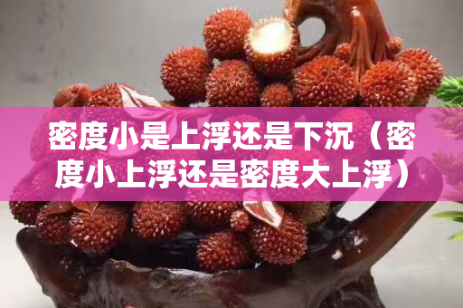 密度小是上浮還是下沉（密度小上浮還是密度大上浮）