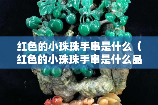 紅色的小珠珠手串是什么（紅色的小珠珠手串是什么品種）