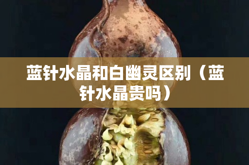 藍(lán)針?biāo)Ш桶子撵`區(qū)別（藍(lán)針?biāo)зF嗎）