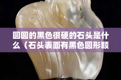 圓圓的黑色很硬的石頭是什么（石頭表面有黑色圓形顆粒的）