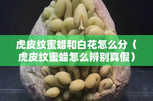 虎皮紋蜜蠟和白花怎么分（虎皮紋蜜蠟怎么辨別真假）