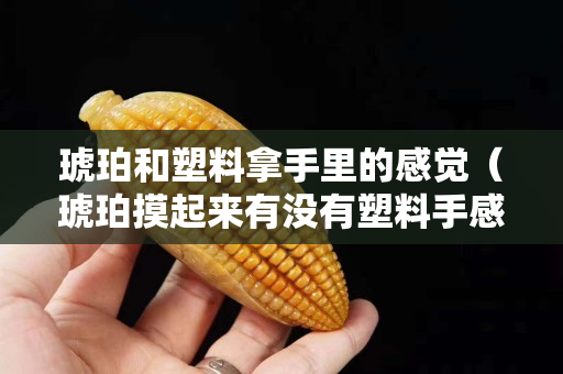 琥珀和塑料拿手里的感覺（琥珀摸起來有沒有塑料手感）