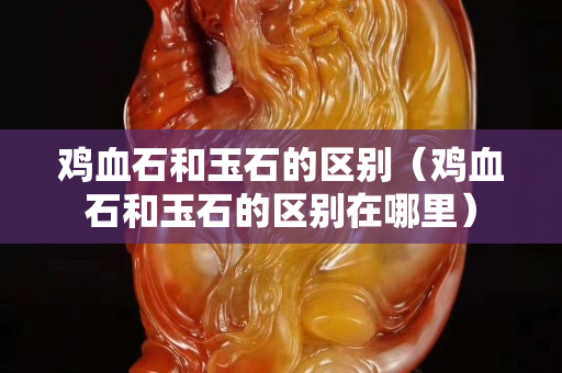 雞血石和玉石的區(qū)別（雞血石和玉石的區(qū)別在哪里）