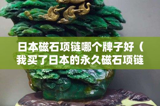 日本磁石項鏈哪個牌子好（我買了日本的永久磁石項鏈）