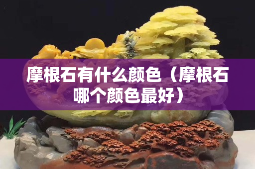 摩根石有什么顏色（摩根石哪個顏色最好）