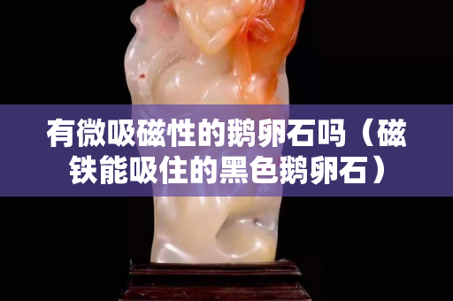 有微吸磁性的鵝卵石嗎（磁鐵能吸住的黑色鵝卵石）