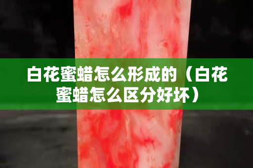 白花蜜蠟怎么形成的（白花蜜蠟怎么區分好壞）