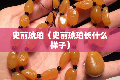 史前琥珀（史前琥珀長什么樣子）