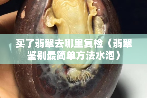 買了翡翠去哪里復檢（翡翠鑒別最簡單方法水泡）