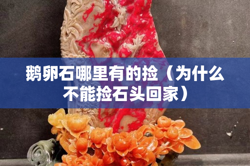 鵝卵石哪里有的撿（為什么不能撿石頭回家）