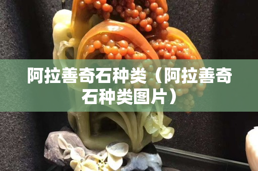 阿拉善奇石種類（阿拉善奇石種類圖片）
